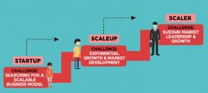 What Is A Scaleup Company? — NEXEA