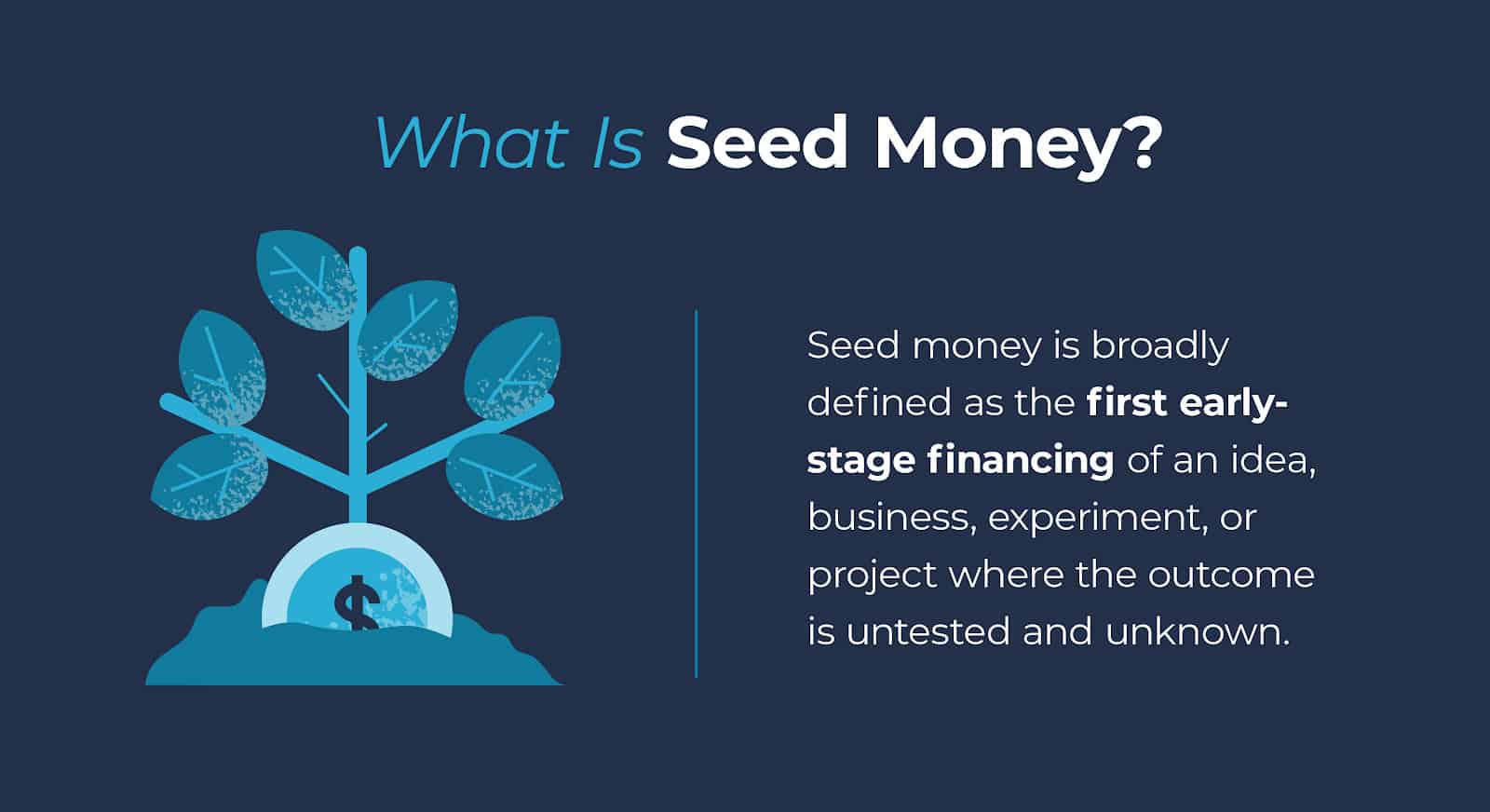 Seed Money: The Vital Investment for Growing Startups — NEXEA